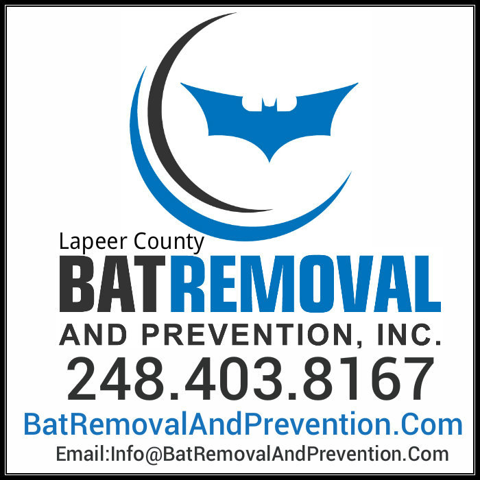 Bat Removal Lapeer County Michigan - Bat Removal & Prevention, Inc.