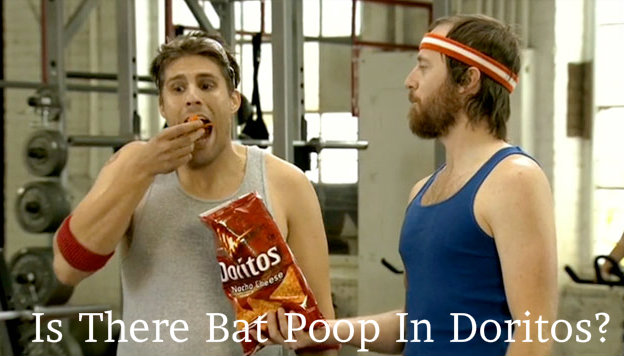 Is There Bat Poop In Doritos?