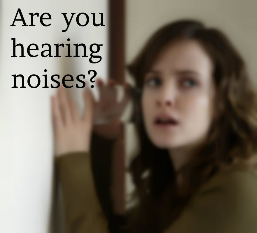 Our Blog Bat Removal & Prevention, Inc.