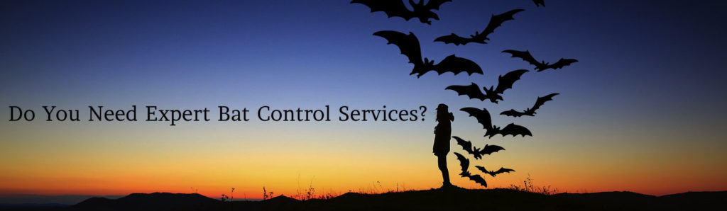 bat Control Services