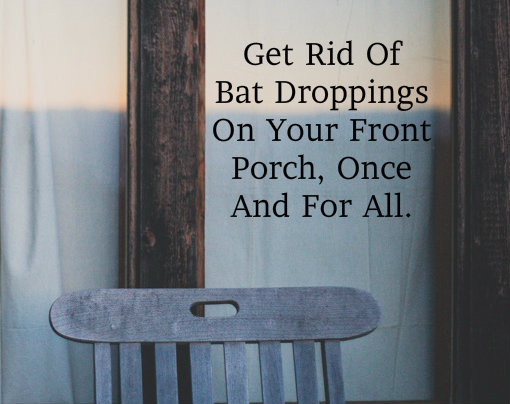Get Rid Of Bat Droppings On Your Front Porch Once And For All