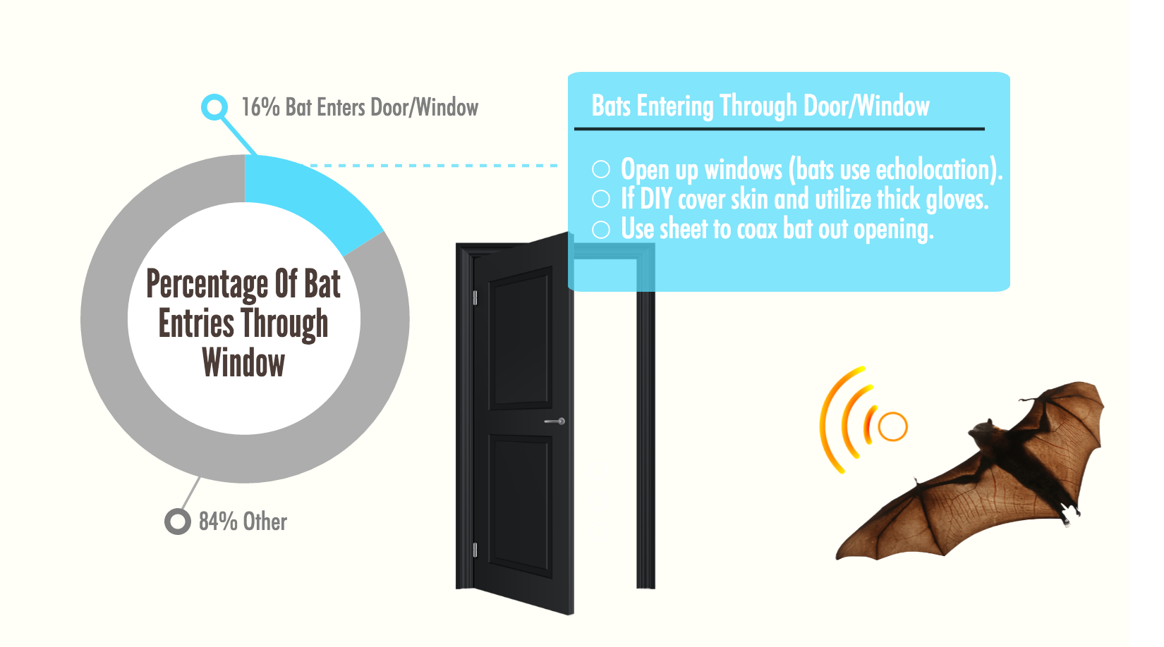 bats open doors and windows Bat Removal & Prevention, Inc.