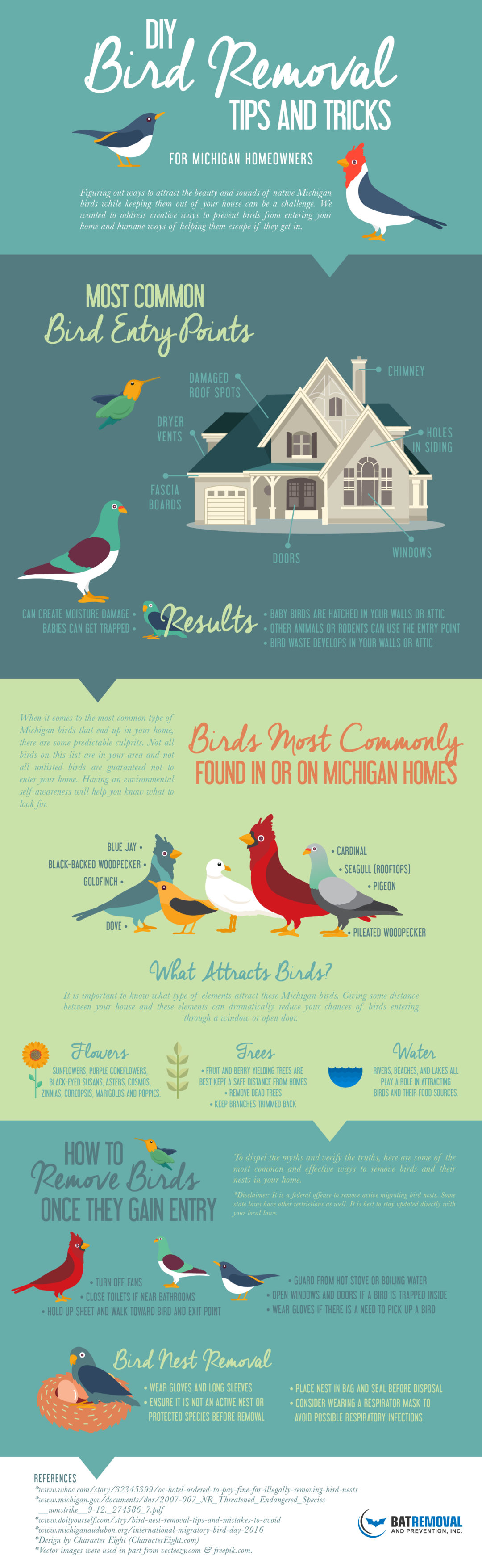 Easy Michigan Bird And Bird Nest Removal Free Infographic