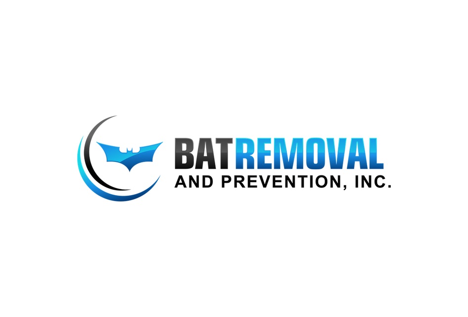 Bat Damage in Attic 