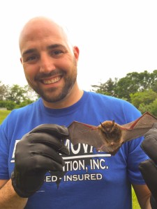 My Bat Guy Technician Holding Bat after removal