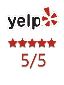 Bat Removal Yelp rating