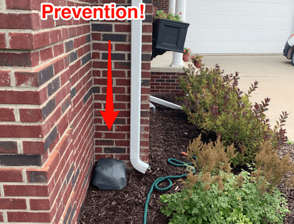 Exterior mice prevention tool set up outside house