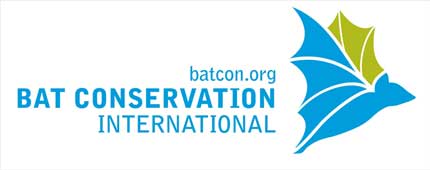 bat international logo