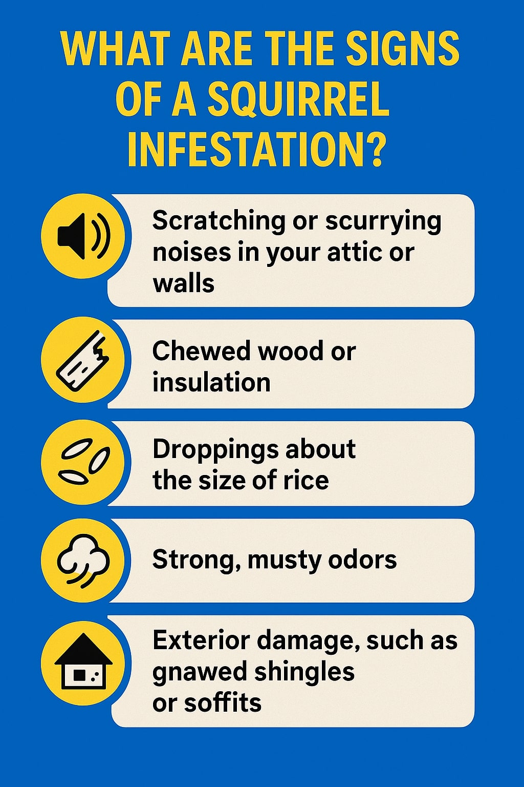 Original infographic with a blue background and yellow and white design elements lists “What Are the Signs of a Squirrel Infestation?” in large bold yellow text at the top. Below, five beige rounded boxes each feature a yellow circular icon on the left: a speaker symbol for “Scratching or scurrying noises in your attic or walls,” a chewed wood plank for “Chewed wood or insulation,” three droplet-like shapes for “Droppings about the size of rice,” a cloud shape for “Strong, musty odors,” and a small house for “Exterior damage, such as gnawed shingles or soffits.” The layout is vertically aligned and visually clean with bold black lettering.